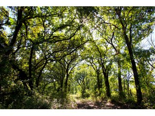 Property photo 23 - SIGNIFICANT LAND & PRODUCING MINERALS SEALED BID AUCTION - 233+/- ACRE FARM IN 1 TRACT - 6 MINERAL TRACTS IN GARVIN, MCCLAIN, GRADY & ROGER MILLS COUNTIES, OKLAHOMA